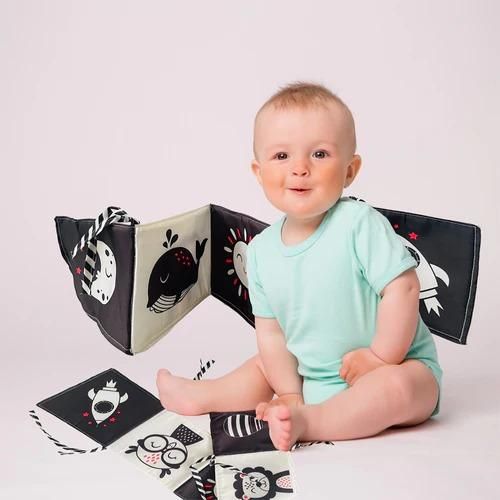 Soft Cloth Book For Baby (Pack of 2)